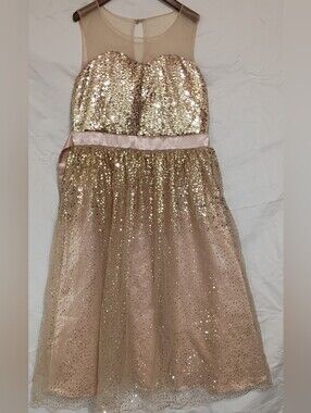 Girls' Gold Sequin Mesh Party Dress with Satin Waist